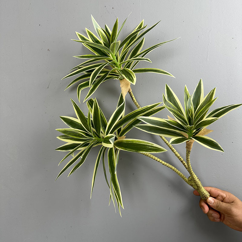 Simulated Green Plants 3 Heads - đánh giá và giá Snake Plant