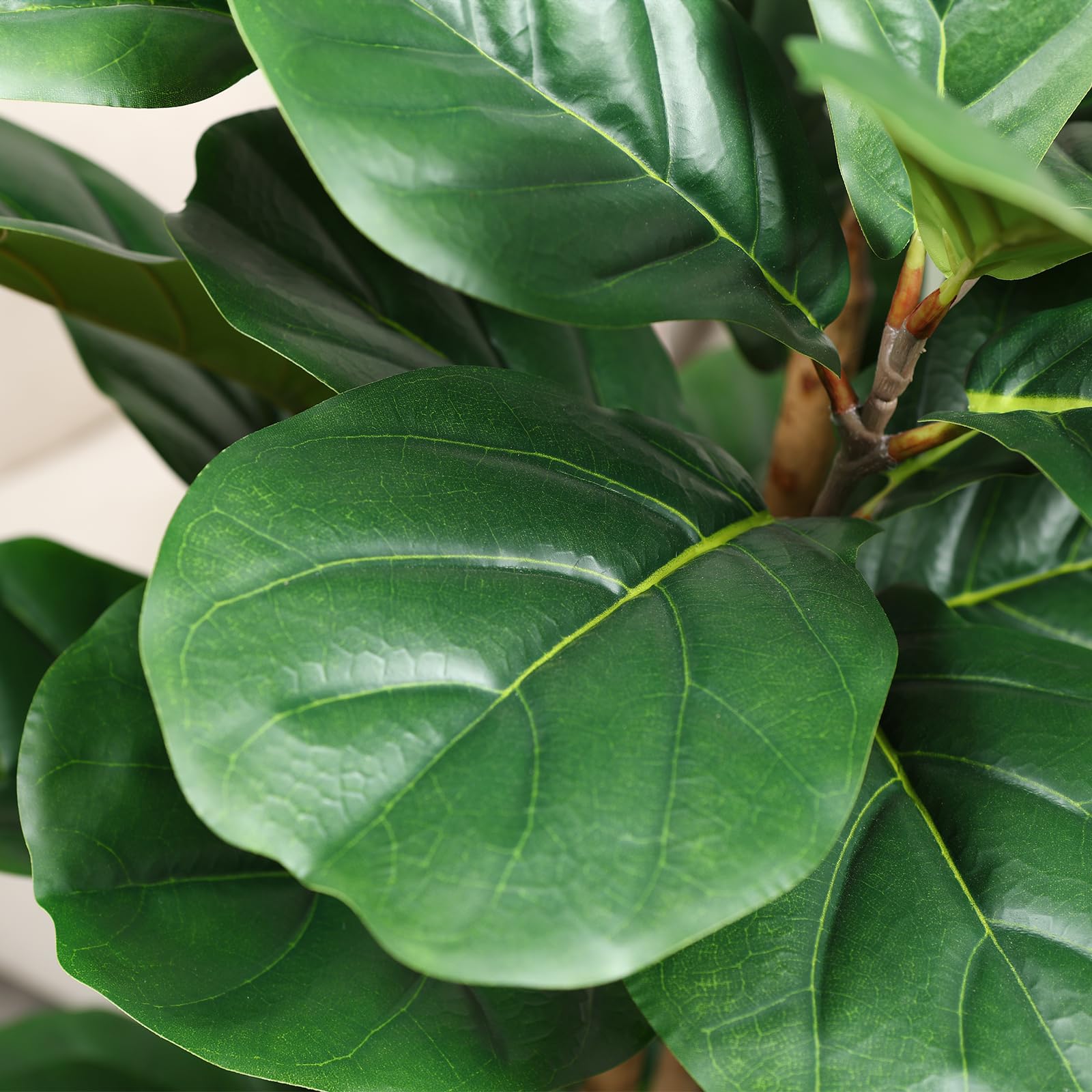 Artificial Fiddle Leaf Fig Tre - đánh giá và giá Fiddle Leaf Fig