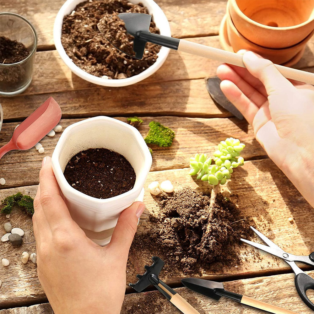 Succulent Plants Tools Mini Ga - đánh giá và giá Succulent Set