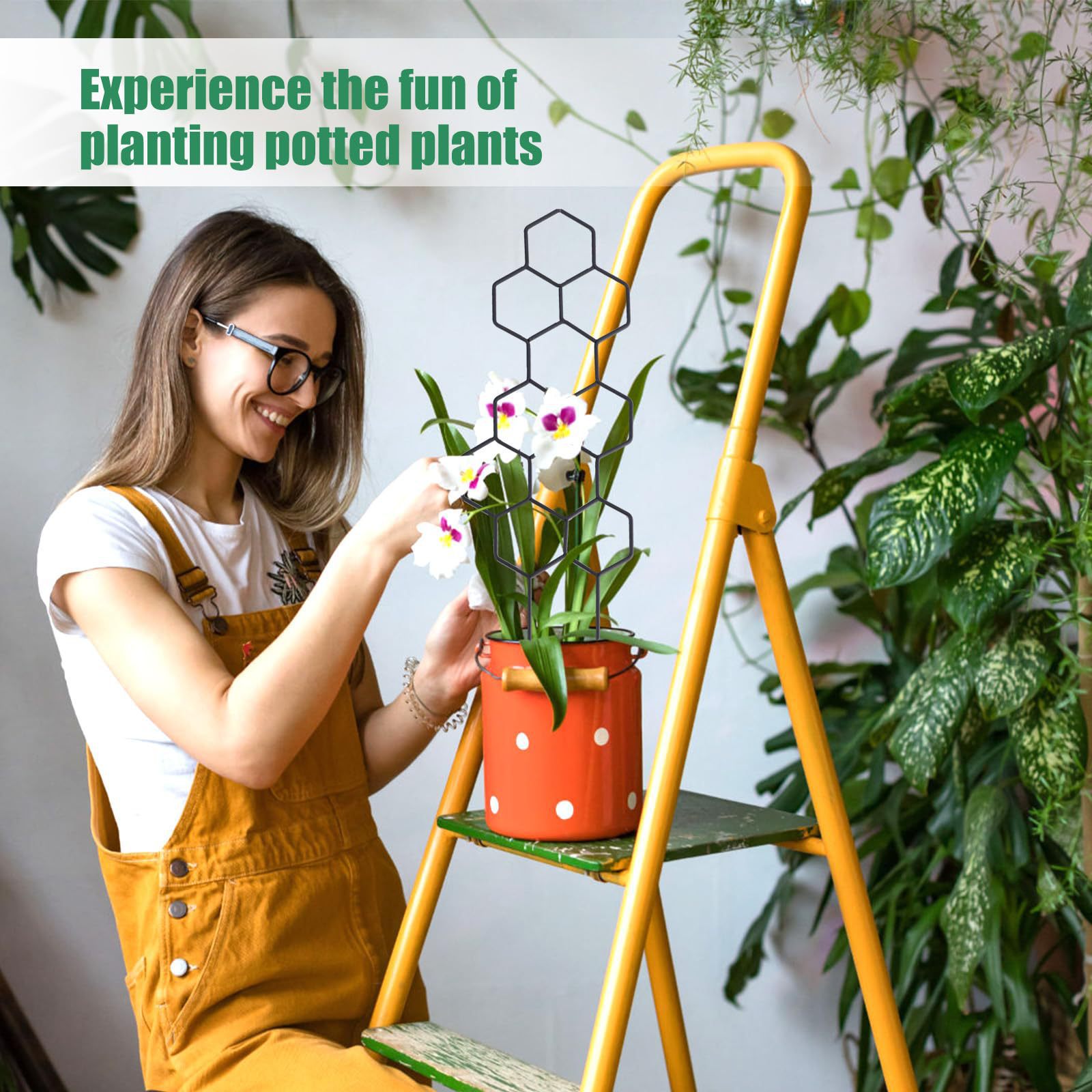 1PC Honeycomb Design Plant Tre - đánh giá và giá Pothos