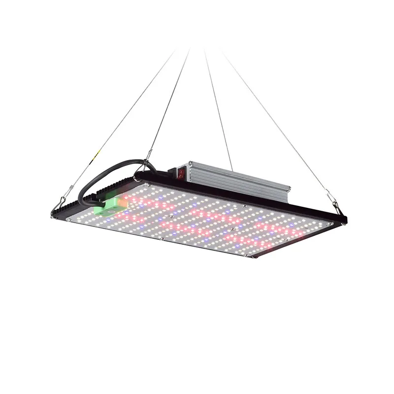 LED Quantum‑Board Grow Light F - đánh giá và giá Indoor Plants