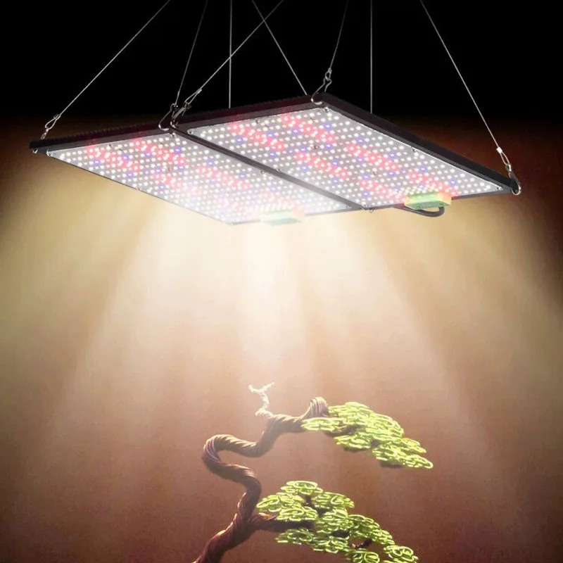 LED Quantum‑Board Grow Light F - đánh giá và giá Indoor Plants