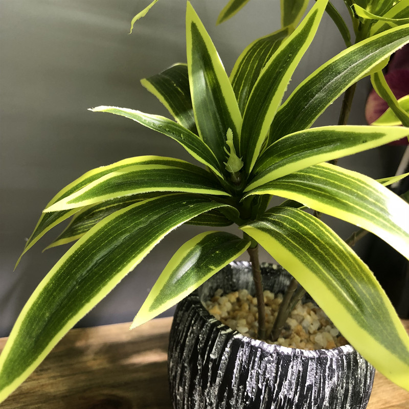 35CM 3 Dĩa Nhân Tạo Để Bàn Giả - đánh giá và giá Snake Plant