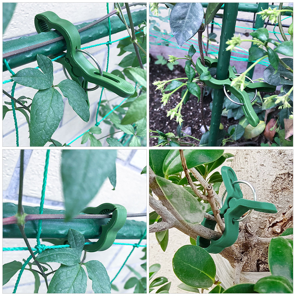 60Pcs Plastic Plant Support Cl - đánh giá và giá Plant Support Stake